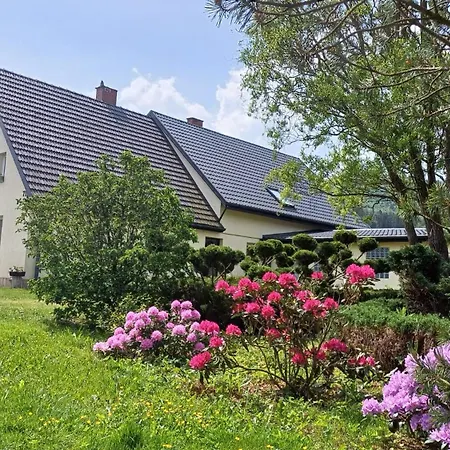 Pod Leszczyna *
